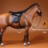 Brown Color 1/6th Scale Model Hanoverian (Hannoveraner) Warmblood Horse, Playset, Animal Figures Horse, Action & Toy Horse
