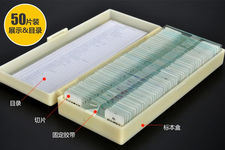 50pcs Prepared Glass Microscope Slide School Laboratory Biological Specimen 